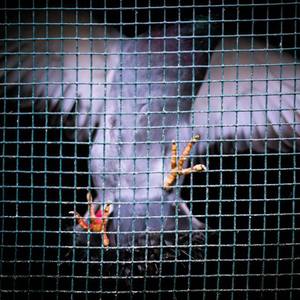 国产精品🔞❌❌❌❌视频app
